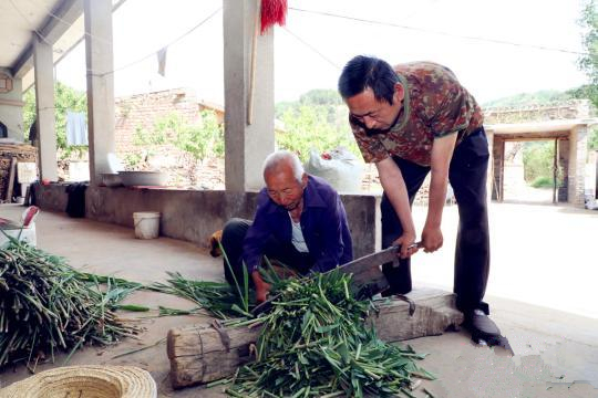 山西七旬老人养牛脱贫_副本.jpg