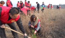 山西运城市绛县红十字志愿者协会组织开展义务植树活动