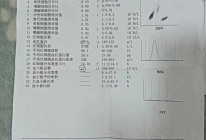 患者检查报告