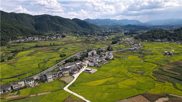 乡村振兴用美作答湄潭县三美五示范打造最美乡村纪实